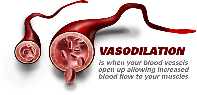 Vasoconstriction: Causes, Symptoms & Treatment